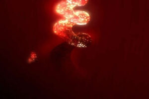 The Color of Sounds of Crickets features a close-up view of a glowing red-orange cricket on a black background, aiming to capture an 'augmented state of consciousness' where nature's details reveal interconnectedness. The artwork conveys wonder and fascination for nature through simple yet profound forms, inviting contemplation on the human connection with it. Video Animation 2 min 2011