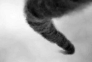 A black and white drawing by David Moraton depicts a violinist in mid-performance against a stark contrast of darkness and vibrant orange sky. The composition guides the viewer's eye, creating a visual narrative that emphasizes the musician against the vastness of space, inviting contemplation on interconnected human experience. Video Animation 1 min 20 sec 2006