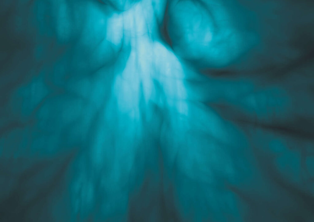 "Whispers" by David Moraton is an artwork exploring interconnectedness through nature-inspired drawings, revealing connections between seemingly disconnected ideas such as tree structures, anatomy, and animal forms. It invites viewers into an elevated state of vision, revealing a dynamic and connected nature rather than a fragmented reality. Digital Art on Board 65x42 cm 2018